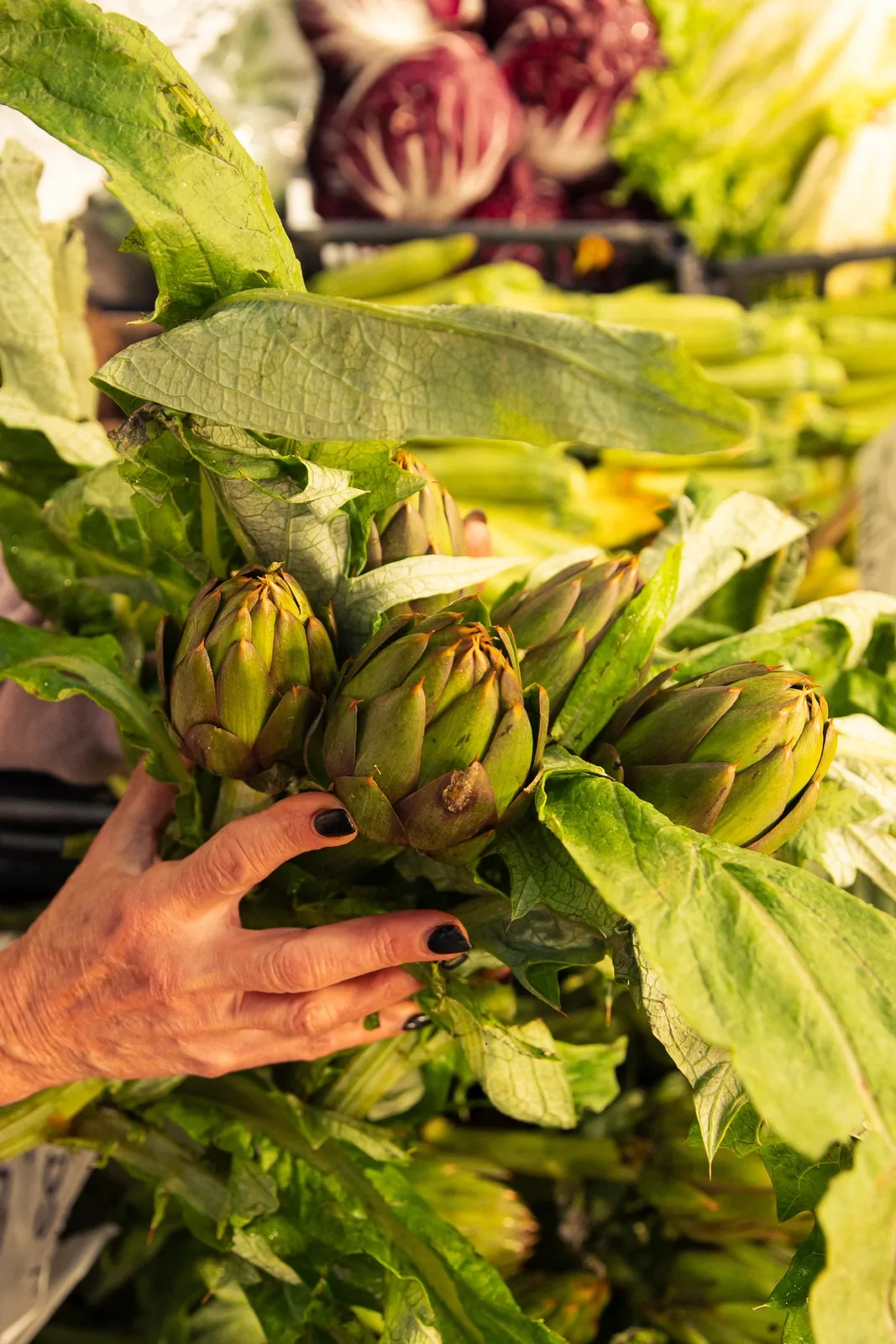 Cestino Frutta e Verdura